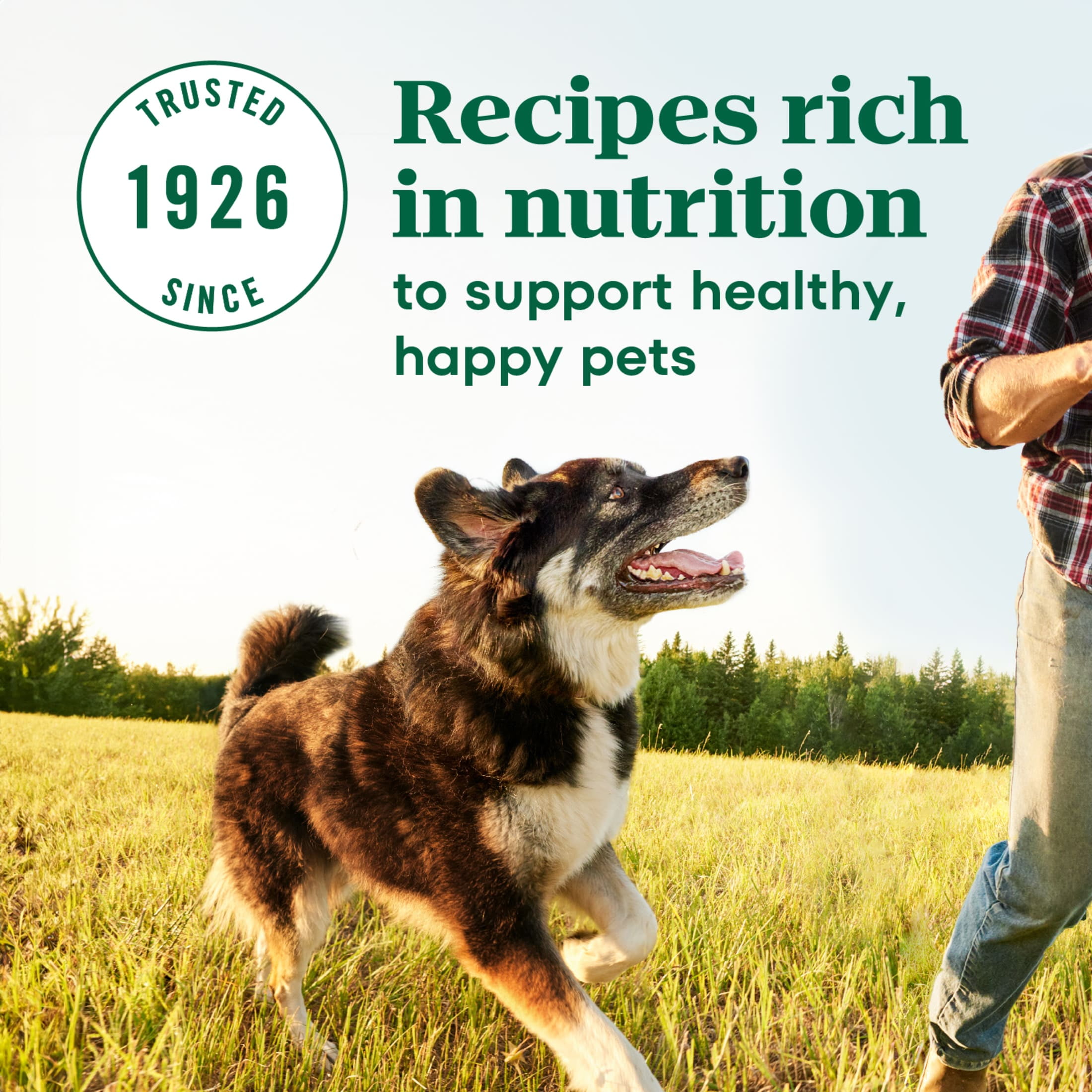 Nutro Max Adult Large Breed Dry Dog Food with Farm-Raised Chicken, 36 lb. Bag