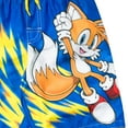 thumbnail image 3 of SEGA Sonic the Hedgehog Little Boys Swim Trunks Bathing Suit Blue 5-6, 3 of 5