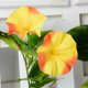 thumbnail image 3 of 1 paquete de flores artificiales azules decoración de gloria de la mañana hojas de flores artificiales cifradas vid 2 tela de seda + plástico aproximadamente 18 flores ANGGREK  Otros, 3 of 8