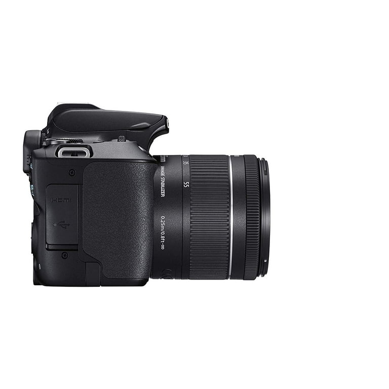 Canon Eos 250D+EF-S 18-55 mm+SD 16GB+Bag Reflex Camera Black