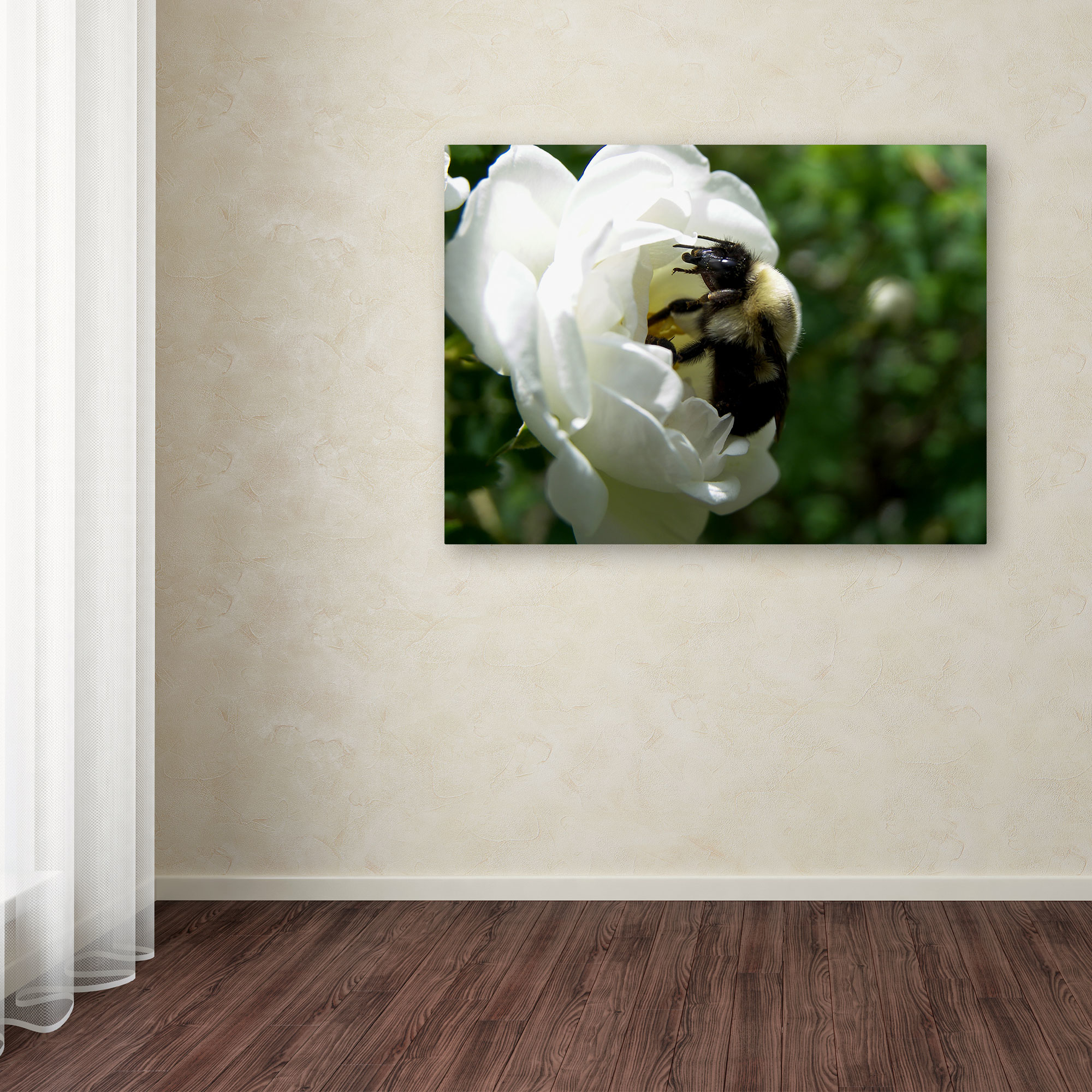 Trademark Fine Art "Passionate Desire" Canvas Art by Monica Fleet