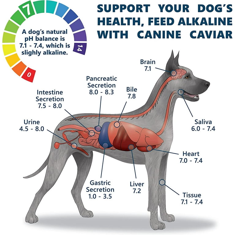 Canine caviar chicken 2024 and pearl millet