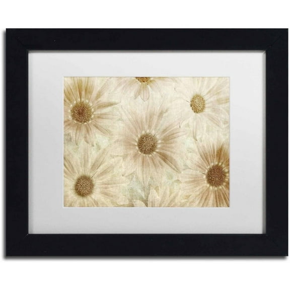 Trademark Fine Art 'Vintage Daisies' Canvas Art by Cora Niele, White Matte, Black Frame
