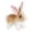 Brown, variant on Real Planet 11.5" Black & White Rabbit Bunny Cute Realistic Stuffed Animal, Cute Farm Animals Plush Toy & STEM Learning Gift for Birthday Boys & Girls