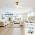 thumbnail image 5 of Sofucor 52" Smart Ceiling Fan with Light and Remote & Phone APP Control,for Kitchen,Living Room,Patio, 5 of 10