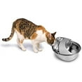 thumbnail image 3 of Pioneer Pet Raindrop Stainless Steel Pet Drinking Fountain, 3 of 4