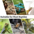 thumbnail image 4 of Snake Climbing Branch, 2Pcs Reptile Wood Natural Cork Log Tank Accessories Tree Trunk for Chameleon Bearded Dragon Gecko Snake Frog Spider, 4 of 8