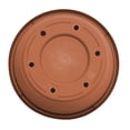 thumbnail image 4 of Bloem Terra 8" Diameter Round Resin Planter with Drainage Holes - Indoor, Outdoor, 1 Gallon Capacity, Lightweight, Fade-Resistant Garden Pot, Terra Cotta, 4 of 5