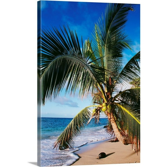Great BIG Canvas Photography Tropical