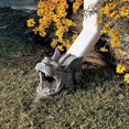 thumbnail image 2 of Design Toscano QM7512079 Roland the Gargoyle Gutter Guardian Rain Downspout Extension Statue, 10 Inch, Polyresin, Full Color,Dimensions: 10"Wx5.5"Dx5.5"H 3 lbs., 2 of 10