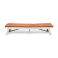thumbnail image 2 of Tina Outdoor Acacia Wood Chaise Lounge and Cushion Set, Light Gray and Rust Orange, 2 of 9