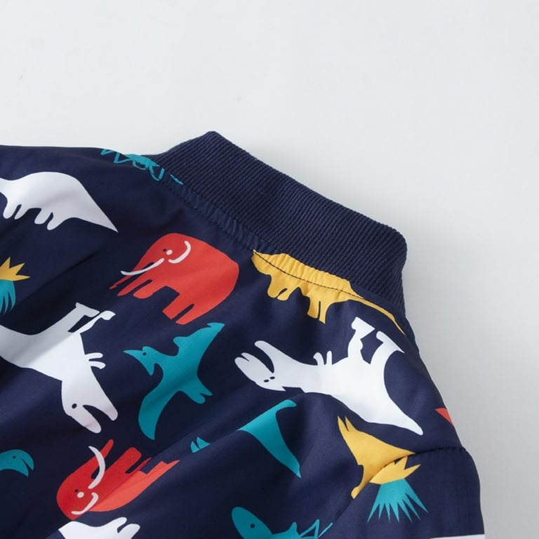Children's place dinosaur clearance jacket