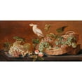 thumbnail image 3 of Koets, Roelof 24x14 Black Modern Framed Museum Art Print Titled - Still Life with Parrot, 3 of 5