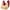 Red, variant on YOTAMI 2-Pack Bras for Women Front Closure Plus Size Push Up Daily Bralette Underwear for Lounge Comfort Bra Size 48C, Beige