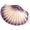 Purple, variant on Seashell Ceramic Soap Dish Bathroom Accessories Purple