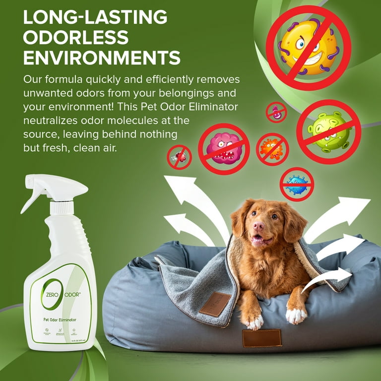 Pet urine smell eliminator outlet