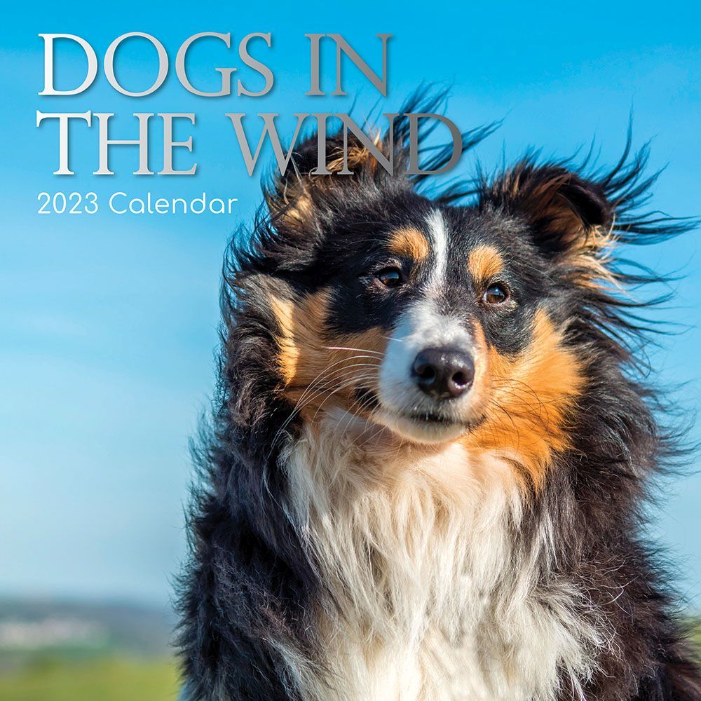 Dog Calendar 2023 Dogs in the Wind 2023 Wall Calendar
