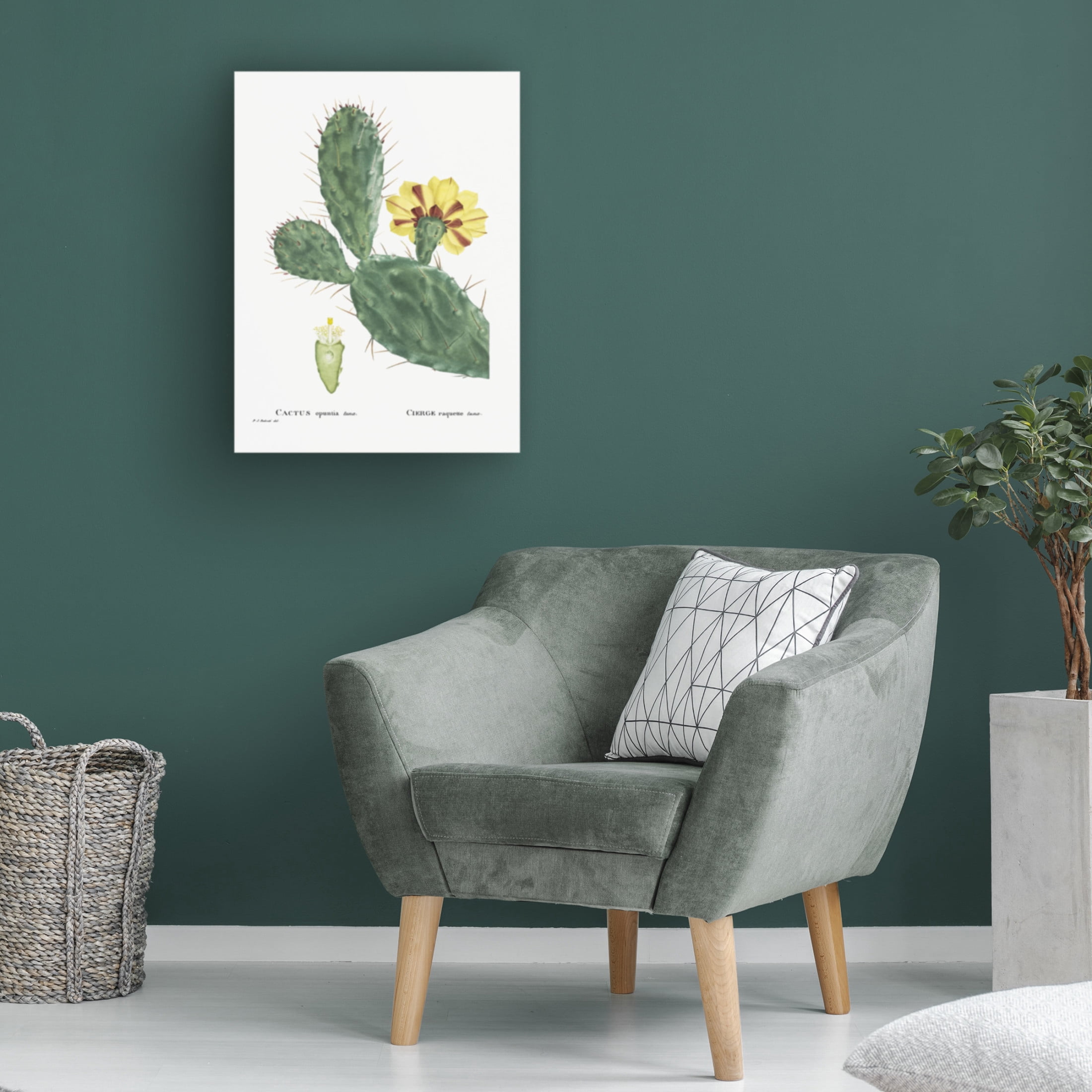 Trademark Fine Art Pierre Redoute  Redoute Cactus IV Canvas Wall Art
