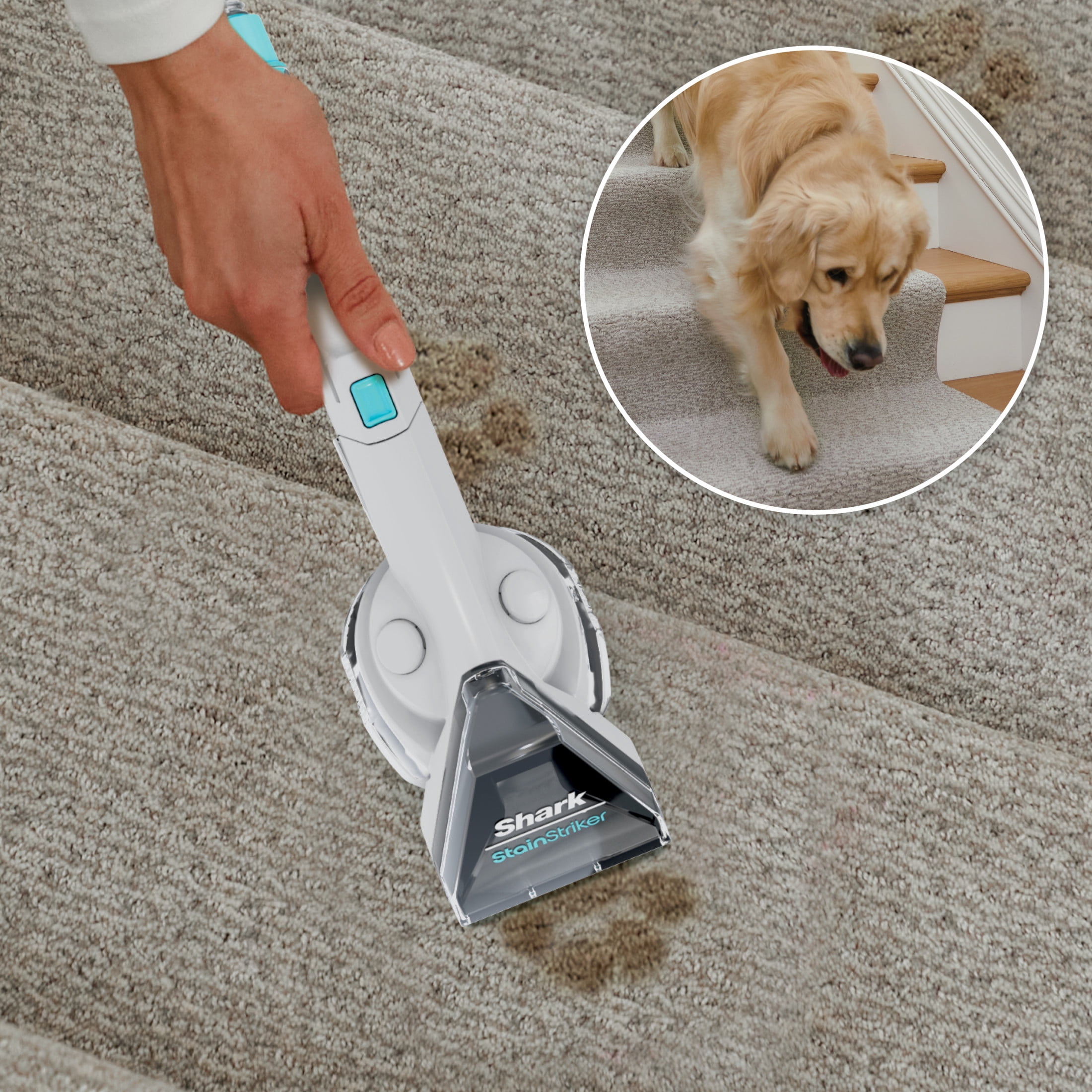 Shark StainStriker Pro Bundle for Shark StainStriker Portable Cleaners, 32oz OXY Multiplier & 16oz Deep Clean Pro Formulas, PXCMBUNDLE