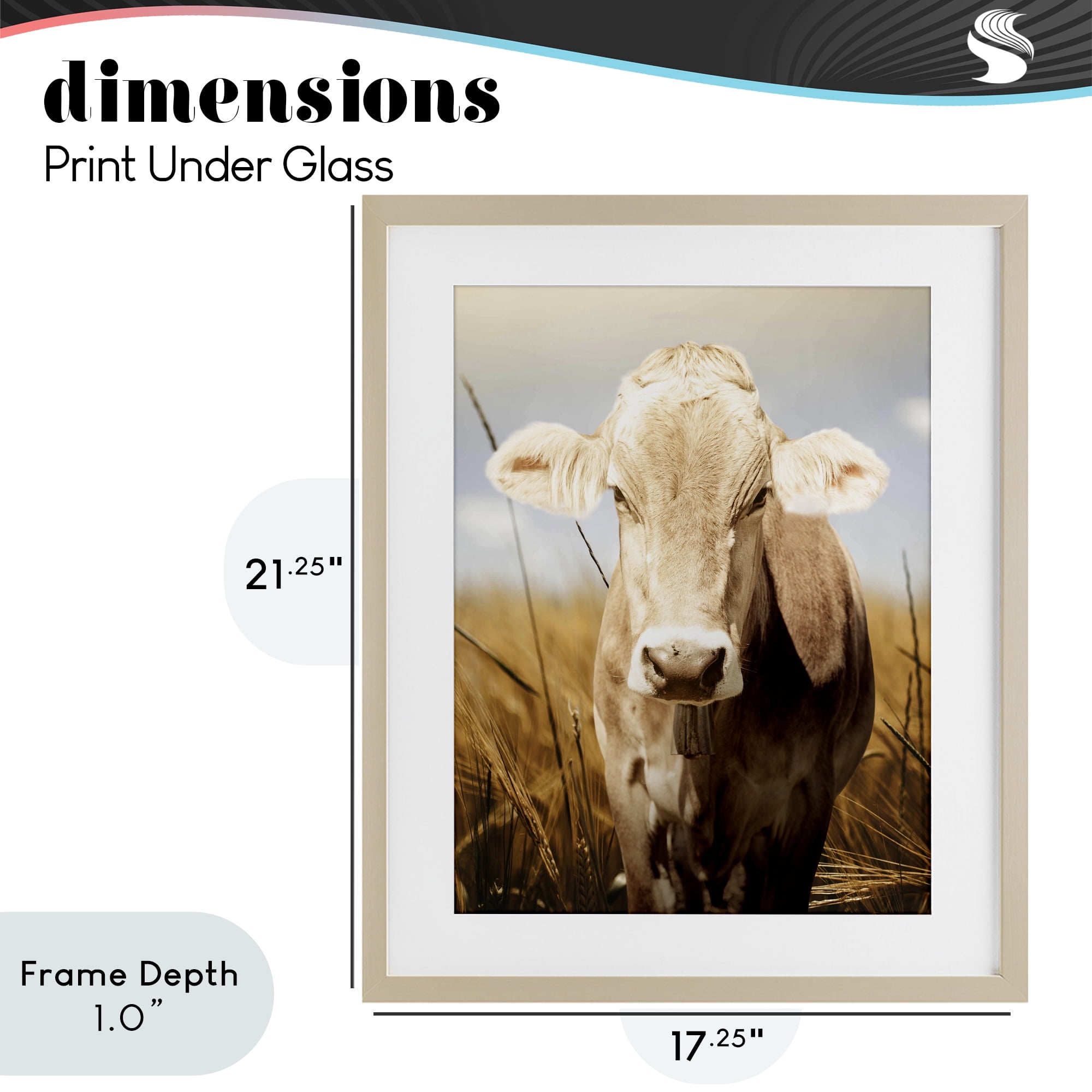 Stupell Industries Simple Belle Cow Portrait Birch Framed Print Under Glass, design by Marcus Prime