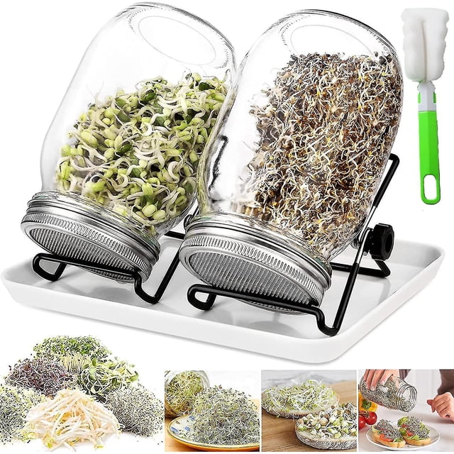 Frascos para germinar, germinador de vidrio de 950 ml con germinador de semillas, 2 rejillas, 2 soportes, 1 recipiente para germinar, frasco para germinar brócoli, agua, apio, alfal