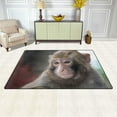 thumbnail image 3 of Coolnut Lightweight Soft Area Rugs 60 x 39 inch (5'x 3'3"), Cute Wild Monkey Floor Mat for Kids Playing Room Hardwood Floor Living Room Nursery Rugs, 3 of 6