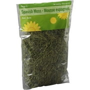 Spanish Moss, Green