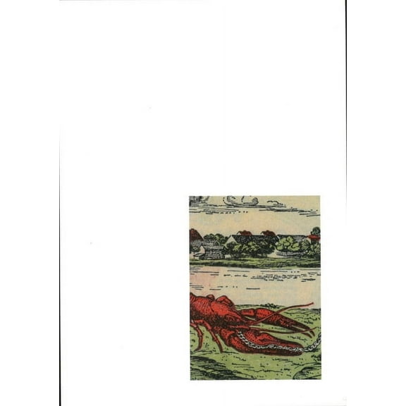 Julian Irlinger: Fragments of a Crisis (Paperback)