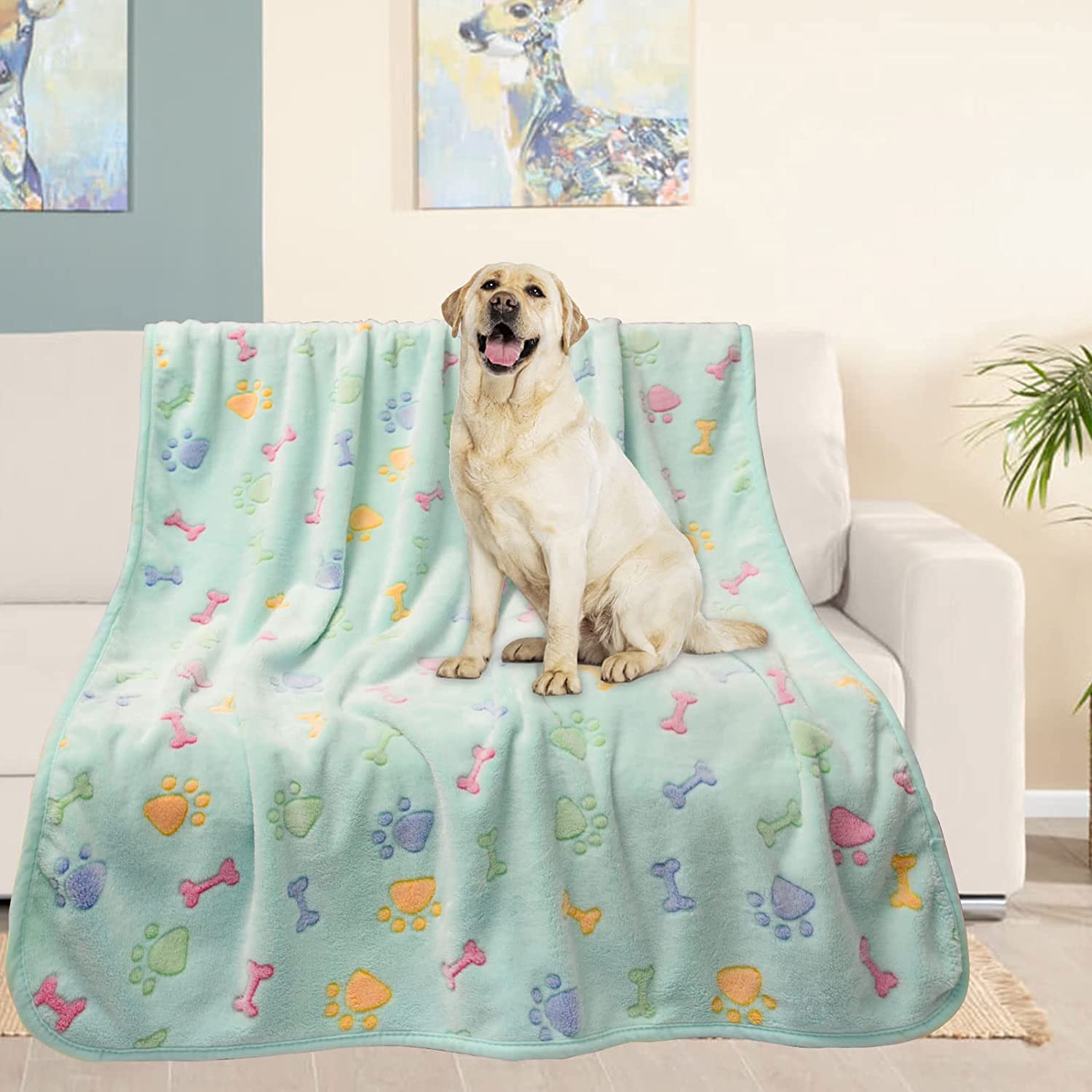 Do Big Dogs Like Blankets