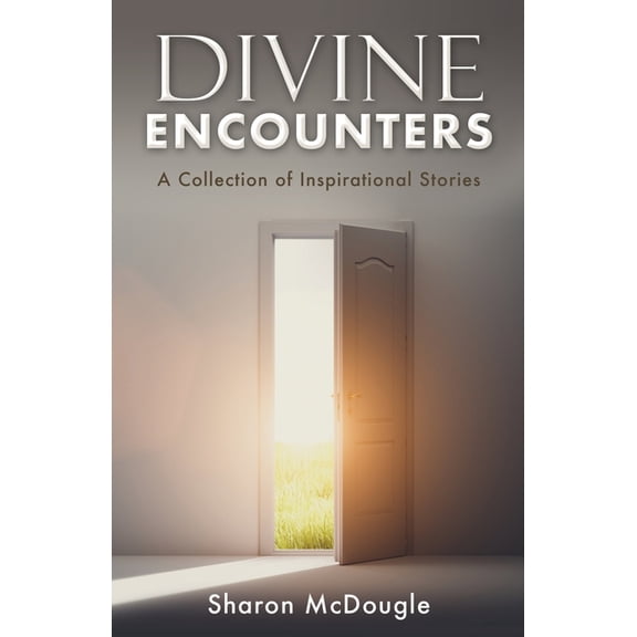 Divine Encounters: A Collection of Inspirational Stories, (Paperback)
