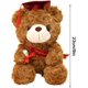thumbnail image 2 of Oso de graduación 2023 (gorra roja), muñeco de oso de graduación, osito de peluche, oso, gorro de graduación, oso, 2 of 5