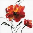 thumbnail image 3 of Nan 20x20 Black Modern Framed Museum Art Print Titled - Red Poppy Splash III, 3 of 5