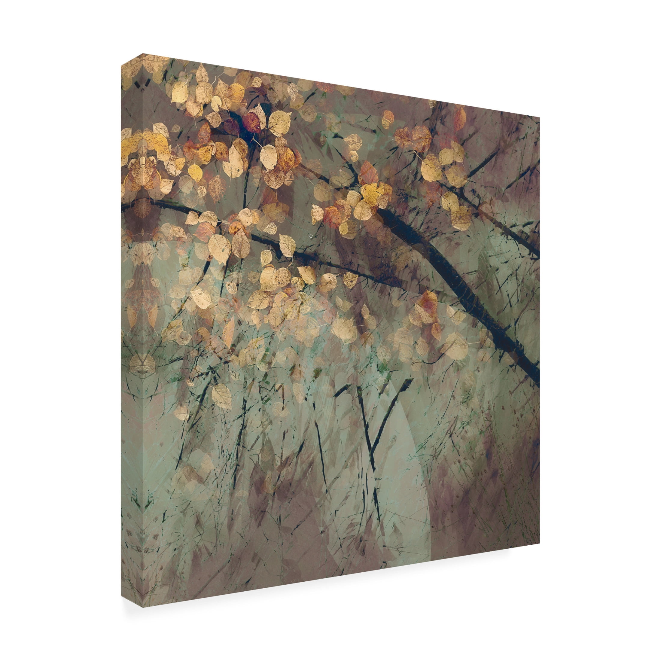 Trademark Fine Art Nel Talen Tomorrow Canvas Wall Art