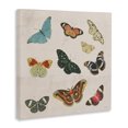 thumbnail image 2 of Stupell Industries Traditional Vintage Butterfly Flight Canvas Art, 17 x 17, by Dan Meneely, 2 of 8