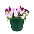 thumbnail image 4 of The HC Companies 14 Inch Round Classic Planter, Plastic Plant Pot, Evergreen, 4 of 4