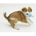 thumbnail image 2 of Pet Life Lick & Gnaw Cooling Dog Chew Toy with Water Filling, Blue, Small, 2 of 2
