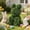 Bear, variant on Artificial Topiary Tree, Artificial Green Boxwood Dog Shaped Decoration for Indoor Outdoor Front Porch, Easter Garden Decor