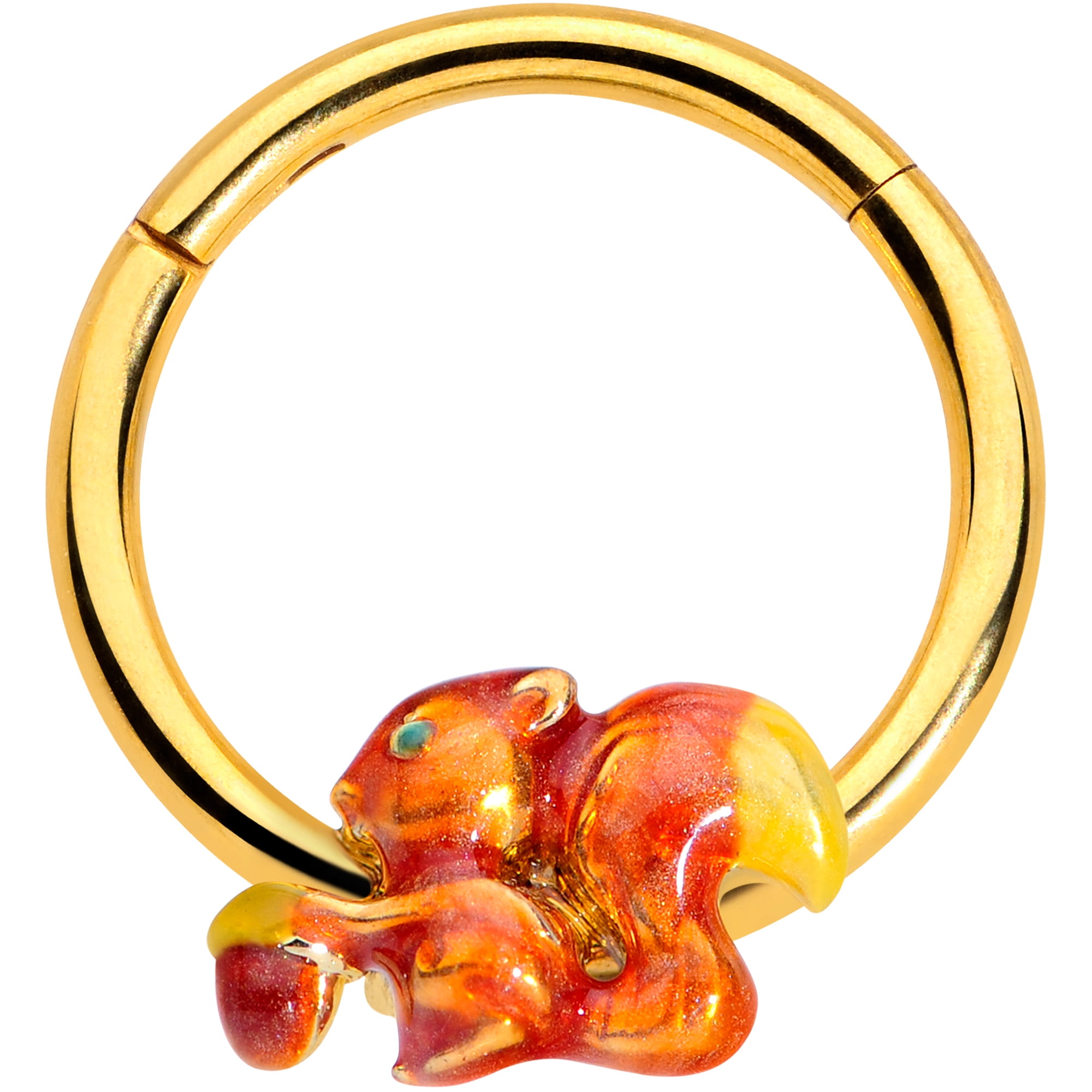 Body Candy Womens 16G PVD Steel Hinged Segment Ring Seamless Cartilage Nipple Squirrel Acorn Nose Hoop 3/8'