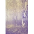 thumbnail image 2 of Kimberly, Allen 11x14 Black Ornate Wood Framed with Double Matting Museum Art Print Titled - Mystic Forest, 2 of 4