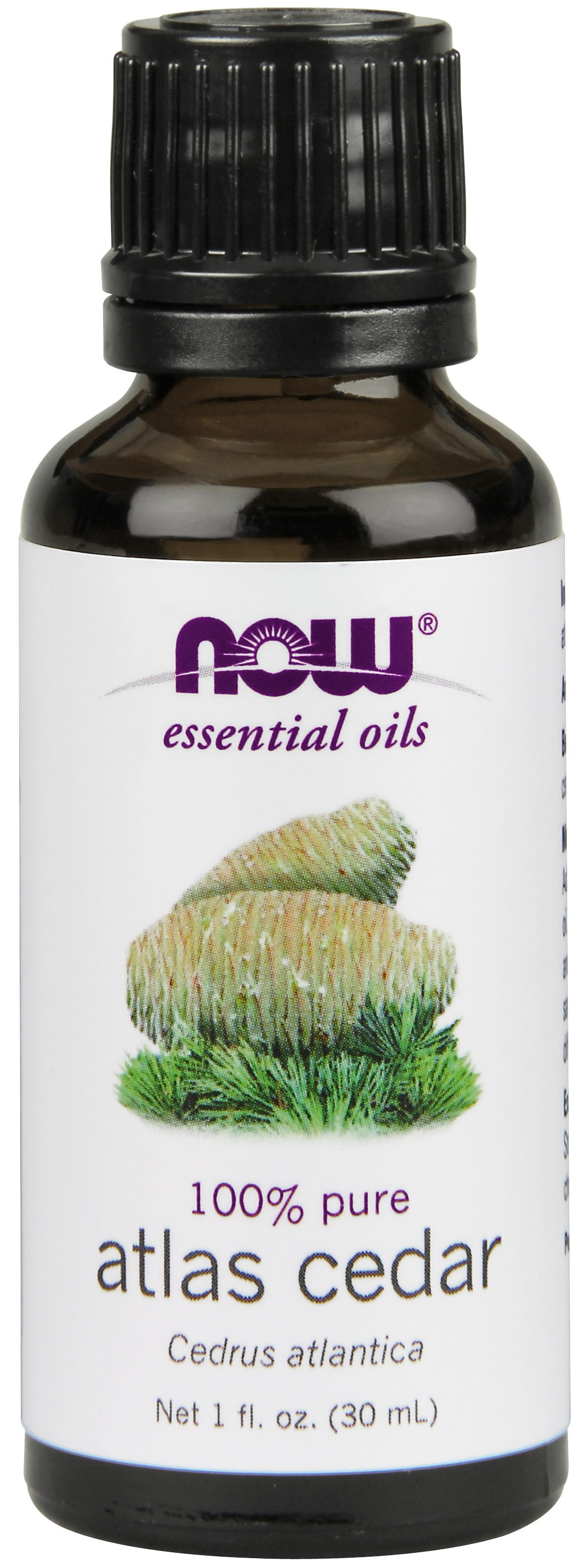 NOW Essential Oils - Atlas Cedar Oil - 1 fl. oz (30 ml) by NOW