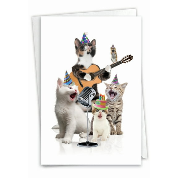 NobleWorks Birthday Greeting Card with 5 x 7 Inch Envelope (1 Card) Bday Animal Bands-Cats C9508GBDG