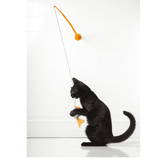 3Pcs cat exerciser toy cat teaser exerciser cat toy fishing pole with reel  Toys