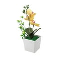 thumbnail image 3 of Stunning Potted Butterfly Orchid Flowers for Home and Office 26x10x10cm, 3 of 6