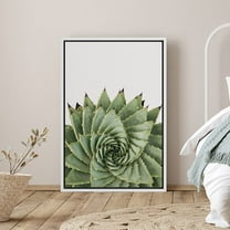 PixonSign Framed Canvas Print Wall Art Twisting Spiral Aloe Succulent Botanical Flower Photography Modern Art Contemporary Relax/Calm Green Cool for Living Room, Bedroom, Office - 24"x36" White
