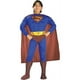 Costumes For All Occasions Ru82302Lg Superman Poitrine Musculaire Chld Lg – image 1 sur 1