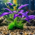 thumbnail image 5 of FastXmas Artificial Silk Aquarium Plants Ornament - Realistic Fabric Water Plants for Fish Tank & Aquascaping Decor(10.6 x 7.8 Inch), 5 of 7