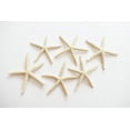 thumbnail image 4 of Set of 6 Small White Finger Starfish 2" - 3" Beach Weddings Crafts Coastal Decor Nautical, 4 of 4