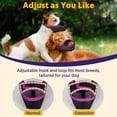 thumbnail image 6 of Dog Muzzle, Mesh Muzzle for Large Medium Small Dogs Allows Full Pant Drinking Mouth Cover to Prevent Biting Chewing Scavenging Adjustable Breathable, 6 of 8