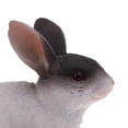thumbnail image 3 of Modèle Animal Réaliste Figurine de Lapin Enfant Jouet Éducatif Tableau de Taille en Plastique:, 3 of 9