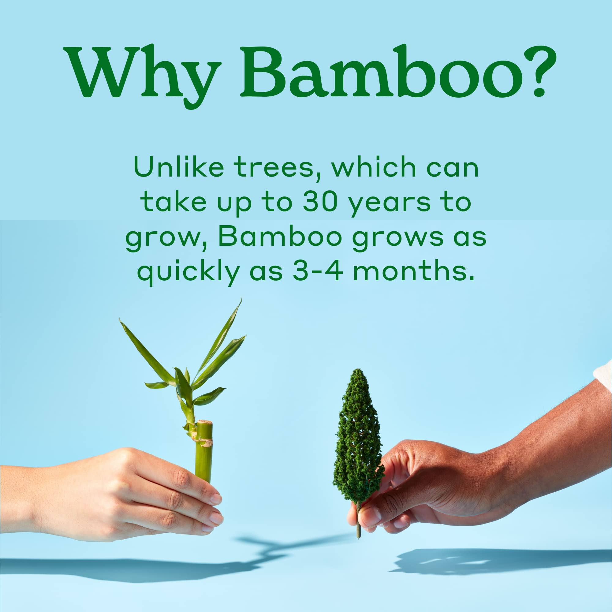 Caboo Tree Free Toilet Paper, Tree Free, Septic Safe Toilet Tissue, Eco Friendly, Chemical Free 2 Ply Toilet Paper, Pack of 24 Double Rolls, 300 Sheets Per Toilet Paper Roll